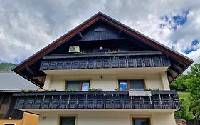 Apartment Ravnik Brod 13