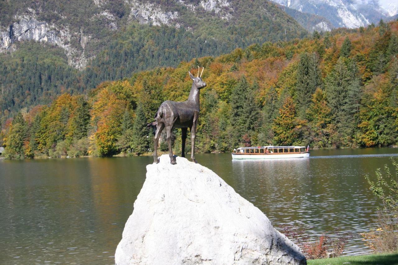 Apartment Ravnik Brod 13 Bohinji-tó Kültér fotó