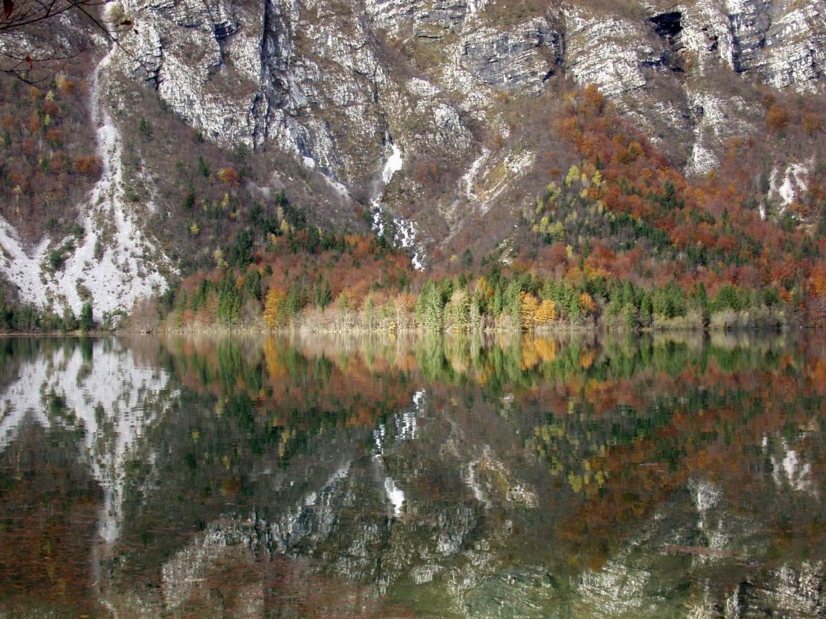 Apartment Ravnik Brod 13 Bohinji-tó Kültér fotó