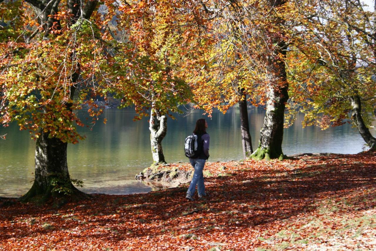 Apartment Ravnik Brod 13 Bohinji-tó Kültér fotó